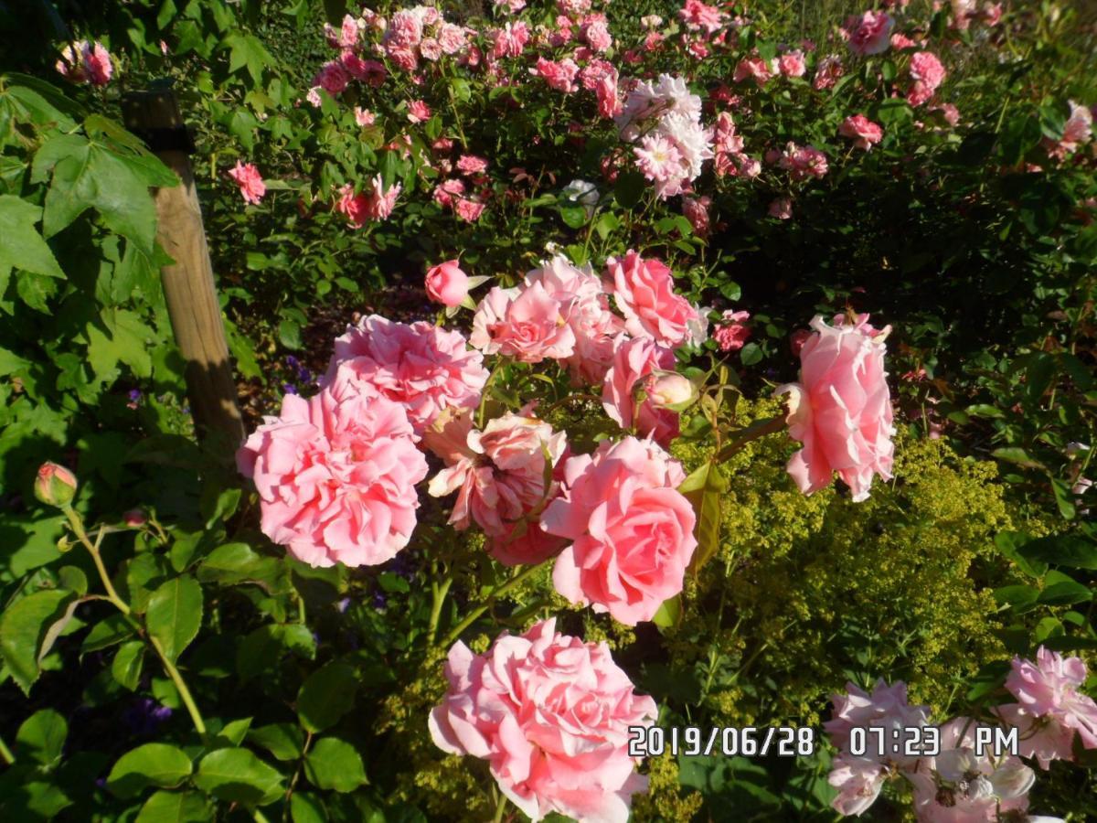 B&B Rozerie Anzegem Buitenkant foto